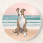 Schattigee Pitbull Dog Zittend op het strand met z Zandsteen Onderzetter (Voorkant)