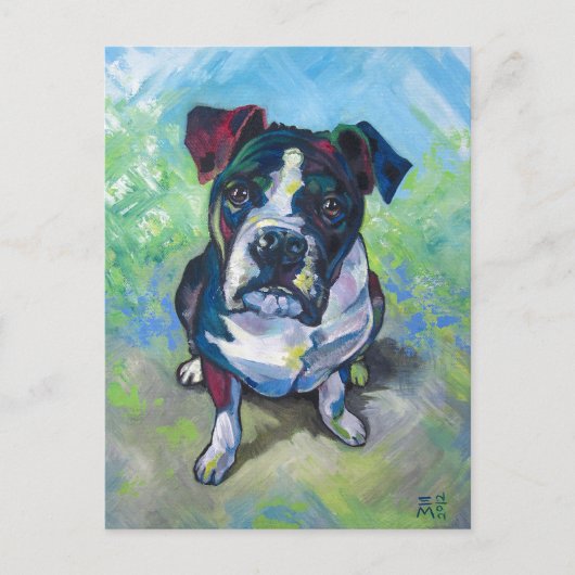 Schattigee pitbull schilderij briefkaart (Voorkant)