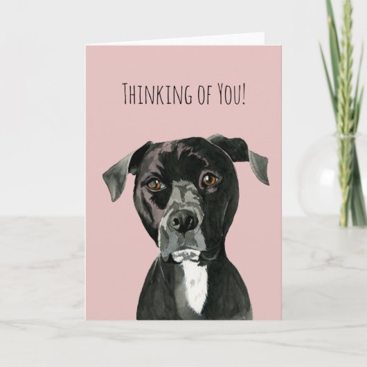 Schattigee pitbull terriër | Denken aan jou Kaart (Voorkant)