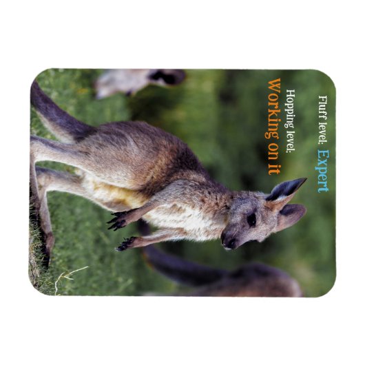 Schattigee pluizige joey Kangaroo Magneet (Horizontaal)