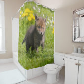 Schattigee pluizige rode vos welp wilde baby dier, douchegordijn (In situ)