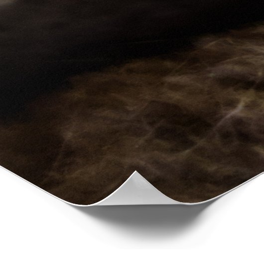 Schattigee pluizige tabby kat poster (Hoek)