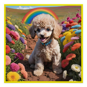 Schattigee poedel Kleurrijke bloem en regenboog Perfect Poster