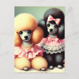 Schattigee poedelillustratie briefkaart