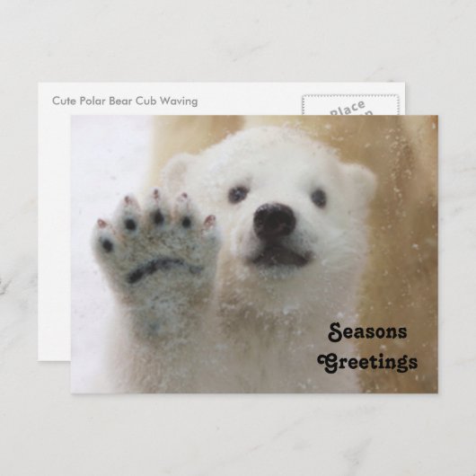 Schattigee Polar Beer Cub Waving Feestdagenkaart (Voorkant / Achterkant)