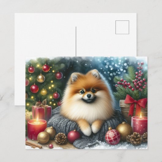 Schattigee Pommerse Gezellige Waterverf Winterkuns Briefkaart (Voorkant / Achterkant)