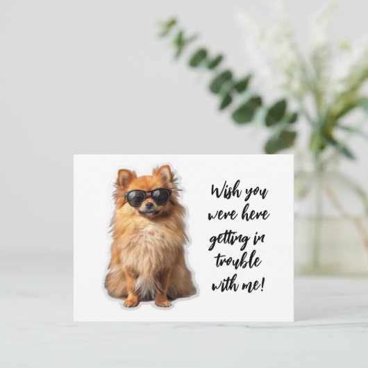 Schattigee Pommerse hond wou dat je hier vermist w Briefkaart (Staand voorkant)