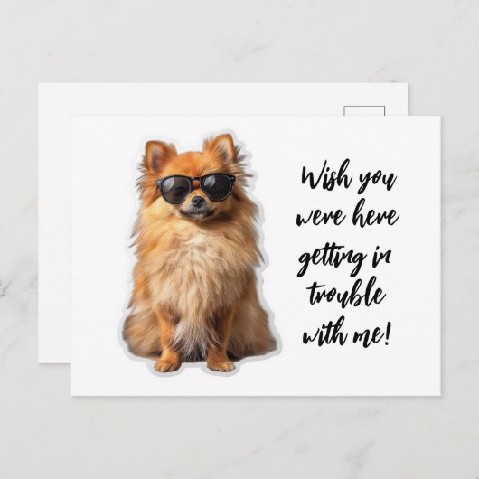 Schattigee Pommerse hond wou dat je hier vermist w Briefkaart (Voorkant / Achterkant)