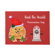 Schattigee Pommerse Kerstman