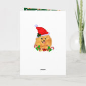 Schattigee Pommerse Kerstman Feestdagen Kaart (Achterkant)