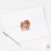 Schattigee Pommerse Moeder Puppy Hondenliefhebber  Vierkante Sticker (Envelop)