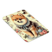 Schattigee Pommerse schilderkunst Magneet (Rechterzijde)