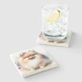 Schattigee Pommerse waterverf illustratie Stenen Onderzetter (Zijkant)