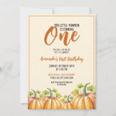 Schattigee pompoen Baby 1e verjaardag Kaart (Voorkant)