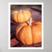 Schattigee pompoen herfst foto warme boerderij dec poster (Voorkant)