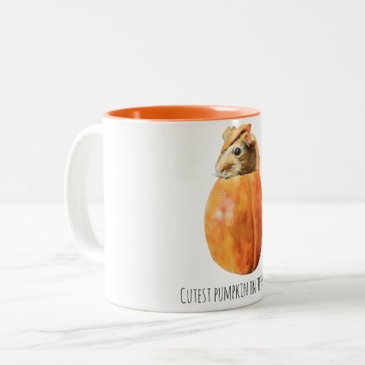 Schattigee pompoen in de patch mok (Voorkant links)