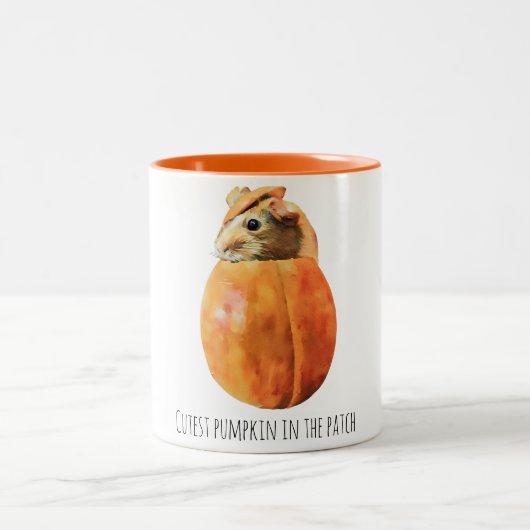 Schattigee pompoen in de patch mok (Center)