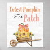 Schattigee pompoen in het Patch Poster (Voorkant)