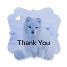 Schattigee poolvos op sneeuw dank u