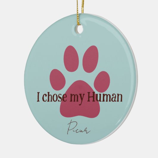 Schattigee poot keramisch ornament (Links)