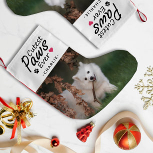 Schattigee pootjes Ooit Hondenhuisdier Foto en Naa Kleine Kerstsok