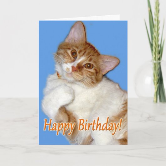 Schattigee Posing Cat - Verjaardag Algemeen Kaart (Voorkant)