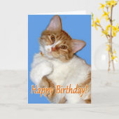 Schattigee Posing Cat - Verjaardag Algemeen Kaart (Gele Bloem)