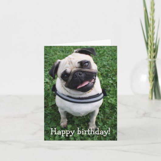 Schattigee Pug Happy Birthday Wenskaart Kaart (Voorkant)