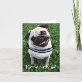Schattigee Pug Happy Birthday Wenskaart Kaart