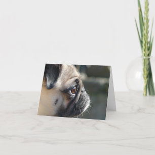 Schattigee Pug Profiel Notitie Kaart - Blank