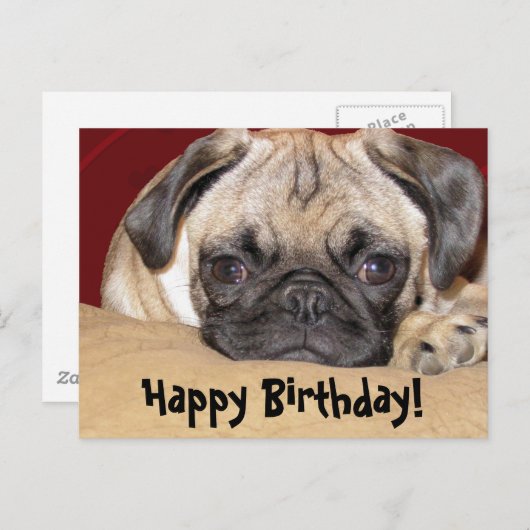 Schattigee Pug Puppy Verjaardagswens Briefkaart (Voorkant / Achterkant)