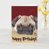 Schattigee Pug Puppy Verjaardagswens Kaart (Gele Bloem)