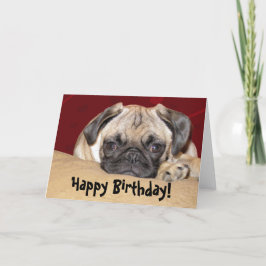 Schattigee Pug Puppy Verjaardagswens Kaart