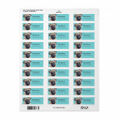 Schattigee Pug Return-adreslabels Etiket (Full Sheet)
