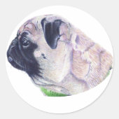 Schattigee Pug Stickers (Voorkant)