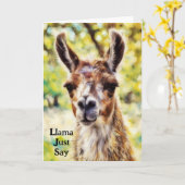 Schattigee Pun Llama Verjaardag Art Kaart (Gele Bloem)