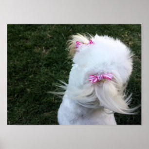 Schattigee pup met linten poster