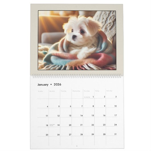 Schattigee Puppies 2025 Kalender (Jan 2026)