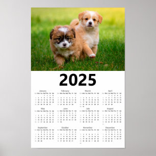 Schattigee Puppies 2025 Kalender Poster