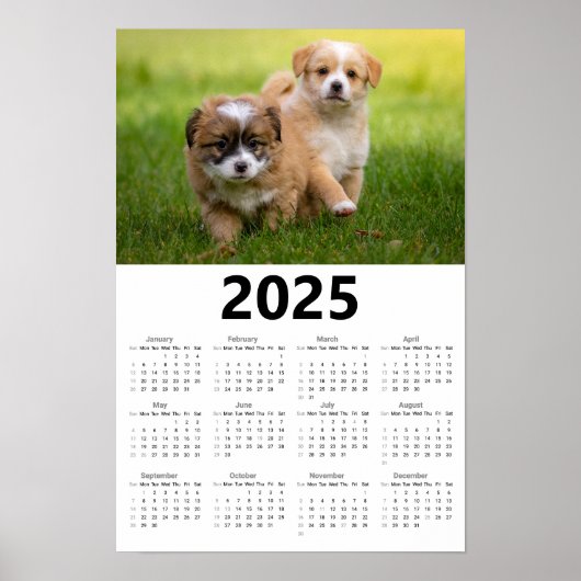 Schattigee Puppies 2025 Kalender Poster (Voorkant)