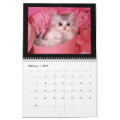 Schattigee Puppies en Kittens 2018 Kalender (Feb 2027)