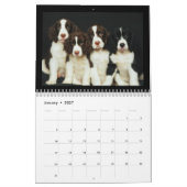Schattigee Puppies en Kittens 2018 Kalender (Jan 2027)