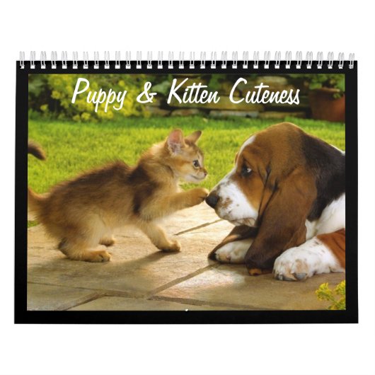 Schattigee Puppies en Kittens 2018 Kalender (Hoes)