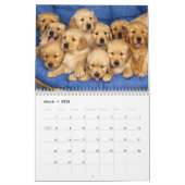 Schattigee Puppies en Kittens kalender (Mar 2026)