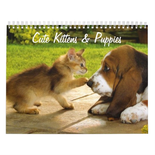 Schattigee Puppies en Kittens kalender (Hoes)
