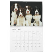 Schattigee Puppies en Kittens kalender (Jan 2027)
