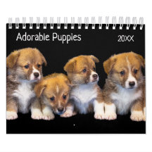 Schattigee Puppies Pet Fotokalender