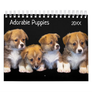 Schattigee Puppies Pet Fotokalender Kalender