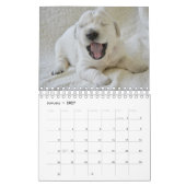 Schattigee Puppies Pet Fotokalender Kalender (Jan 2027)