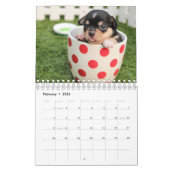 Schattigee Puppies Pet Fotokalender Kalender (Feb 2026)